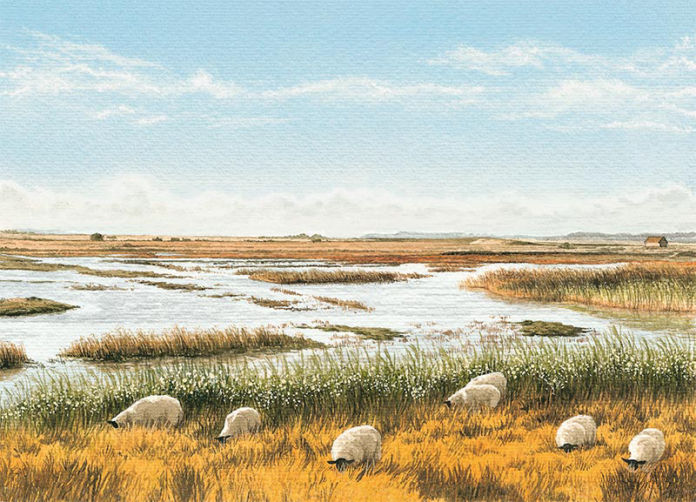 Sheep on the Marshes by Felicity Flutter